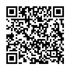 然后凭借着几十年的实战经验才有了炼体二品的境界二维码生成