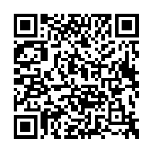 然后出去又听到他们计划暗杀中国乒乓球运动员二维码生成