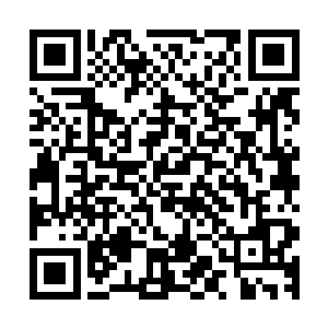 然后前两天我去他公司签合同的时候拿到的分红刚好是一千万二维码生成