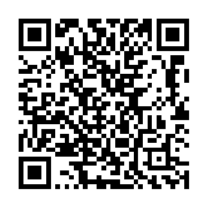 然后力莲又再次看到了那个熟悉的深沉而又哀伤的眼神二维码生成