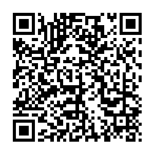 然后动作整齐划一的将手中的刺神匕狠狠的刺入到了追击者的后心当中二维码生成