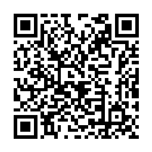 然后又去吩咐厨房那边煮一锅鱼汤和榨几杯橙子汁二维码生成