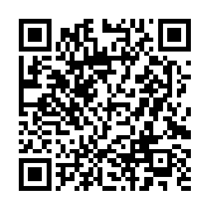 然后又扭头对着台下的刘海涛比划了一个胜利的手势二维码生成