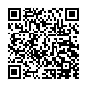 然后又指了一下那两个还在昏迷中的上官木峰的两个儿子二维码生成