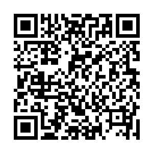 然后发现在我现在的体重下我成功的几率甚至比0还要低二维码生成