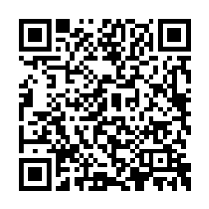 然后只要用膝盖在敌人脑门上补上一击就完事了二维码生成