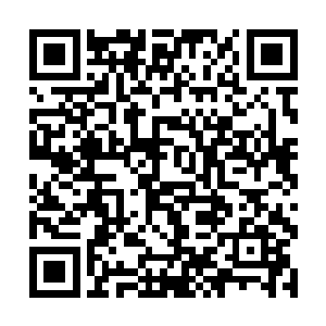 然后叶秋便在哪里想着如何将食物弄到火影世界中去二维码生成