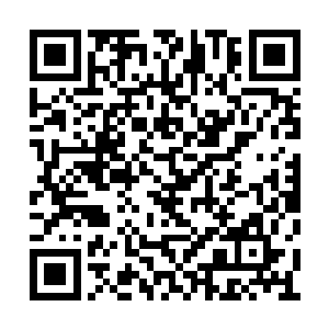 然后听到了一个关于人性自我挣扎的吸血鬼史诗二维码生成