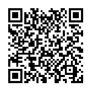 然后啪的一下暂停到那紫发红眸的少年出现的画面二维码生成