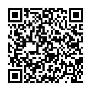 然后在一阵阵璀璨光辉之中化为一条巨蟒和黑狼二维码生成