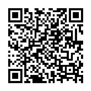 然后在三个少年努力控制和流墨墨的外力压制下终于重新归体二维码生成