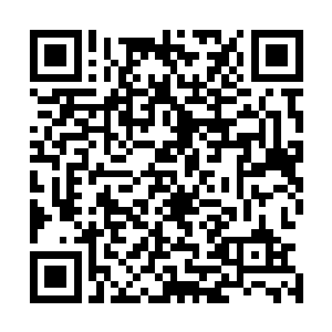 然后在刘力宏和陆高大惊讶的目光之下离开了三零六办公室二维码生成