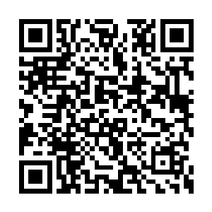 然后在机场守军的面前把他们一个不留全都宰了二维码生成