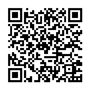 然后大家七嘴八舌地说起刚才这段时间所见到的情况二维码生成