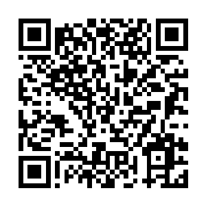 然后大屏幕就切换成为了五位候补者的实时直播画面二维码生成