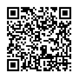 然后大虫子就是通过这条虫洞源源不断的冒出来的二维码生成