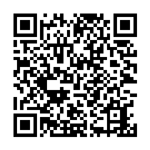 然后大量的时间都在研读受害人档案和凶手作案手法分析二维码生成