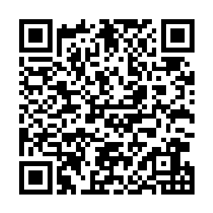 然后将他们本来穿的葛布衣裳撕成碎片往深林里挂了几片二维码生成