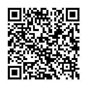 然后将几个陌生的老者纷纷的给杨戬介绍了一番二维码生成