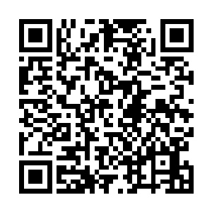 然后将小白虎从自己的胸膛上抱了下来放在身边的泥地上二维码生成