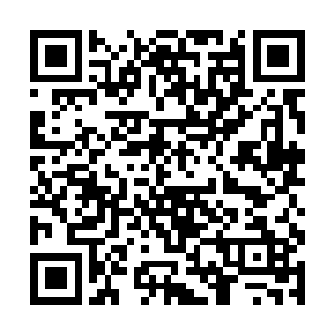 然后将文书交给守将装模作样的检查一遍就过了关卡二维码生成