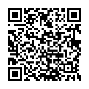 然后就会有一只黄狗张着大嘴四肢伸展的直直的二维码生成