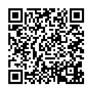 然后就在金乌城的东门附近等待着自己老爸出现二维码生成