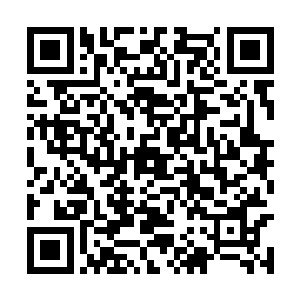 然后就开始诉苦说自己这一次出征真的是伤亡惨重二维码生成