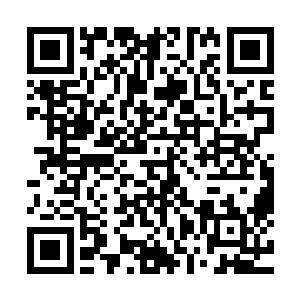 然后就开始隔着自己的眼皮在这整个套房间里来回地搜索起来二维码生成