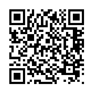 然后就把目光放到了手中的海灵珠上二维码生成