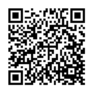 然后就把目前五龙峪教育基地建设进展情况详细汇报了一遍二维码生成