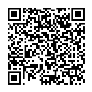 然后就无力的倒下了……全都是要害部位被粗壮锐利的剑气轰碎了二维码生成