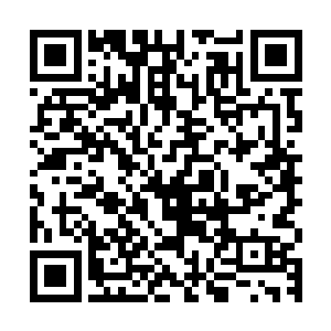 然后就是听说村子里连人房子树还有鸡鸭牛羊猪狗全部都不见了二维码生成