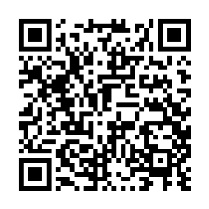 然后就是足够一个人吃两天的黑炎城标准军用口粮二维码生成