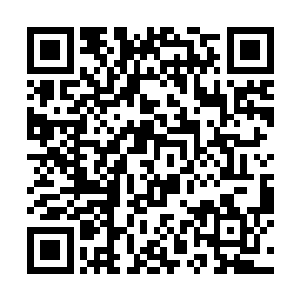 然后就看见雷系仙人一副确定流墨墨就是傻子的表情二维码生成