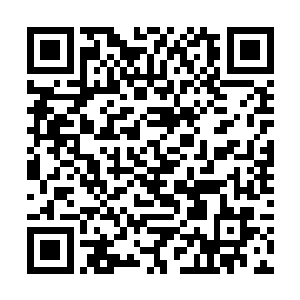 然后就被飘落的雪花装扮成了一个毛茸茸的冰雪怪物二维码生成