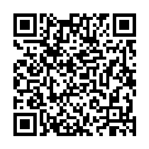然后就见对面钱脚旁约半米处的地板被子弹打得木屑飞溅二维码生成