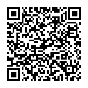 然后就这么当着他们所有人的面被吸入了那金字塔顶端的异形卵之中二维码生成