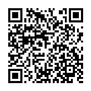 然后就迷迷糊糊趴在桌上睡着了……应该是这样吧二维码生成