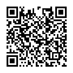 然后带着一部分受伤特别严重的人当即返回了海域二维码生成