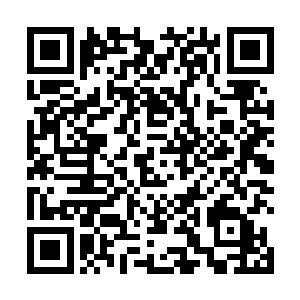 然后带着我和言师兄郑晓一同跟着这些弟子往主殿那边二维码生成