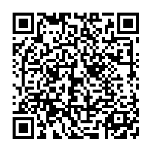 然后开始安静下来……仿佛正在仔细的捕捉着什么讯号……它就站在空姐制服上二维码生成