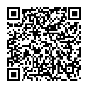 然后开始将一些林晓夕见都没见过的草药放到罐子里开始熬煮起来二维码生成