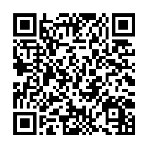 然后张潇晗就感觉到手上磅礴的木系灵力忽然消失了二维码生成