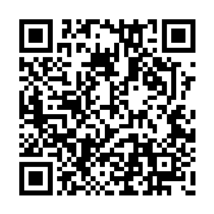 然后径直的朝着那阁楼顶层万棕所在的房间走去二维码生成