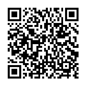 然后心满意足的提着轻松熊的耳朵准备上楼去睡觉去了二维码生成