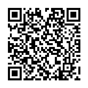 然后我就在海面上发现了一艘正全速奔我来驶来的快艇二维码生成