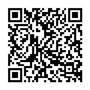 然后我才会没脑子的跟一个恶魔一样到处杀人……这话你信不二维码生成