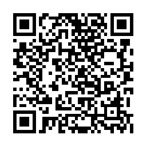 然后我看到了那个好像卫星电话大小的遥控装置二维码生成