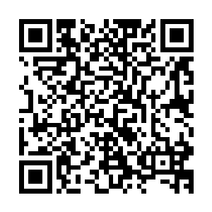 然后我绕道在阿姆斯特丹遇见另外两个跟我差不多背景的姑娘二维码生成